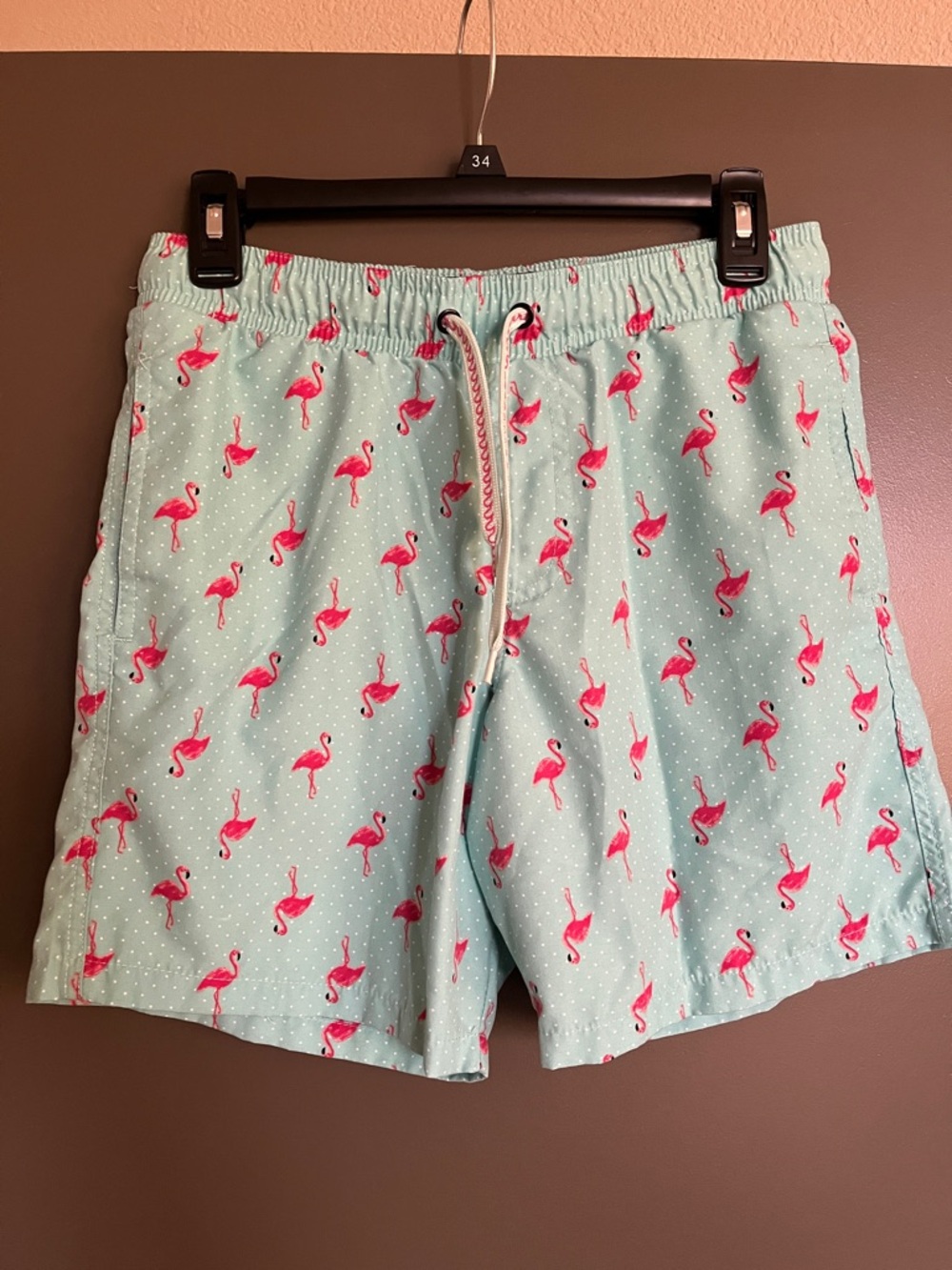 Men's Flamingo Print Swim Shorts